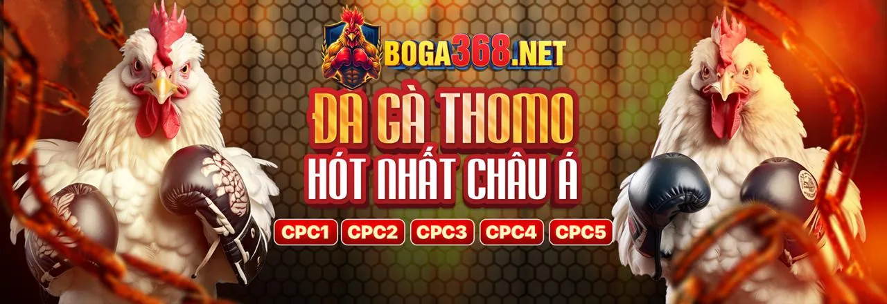 Đá gà trực tuyến Win55