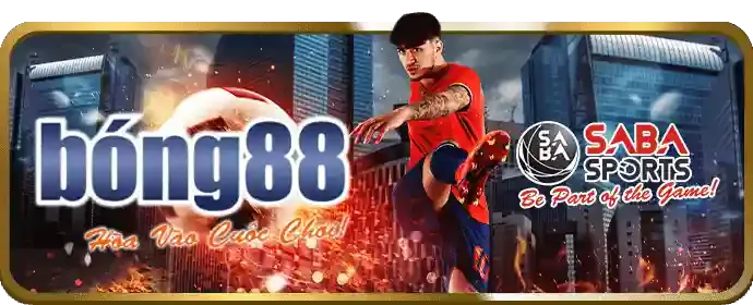 Cá cược thể thao Win55 đk 99k